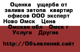 Оценка   ущерба от залива затопа  квартир офисов ООО эксперт Ново-Омск › Цена ­ 4 000 - Омская обл., Омск г. Услуги » Другие   